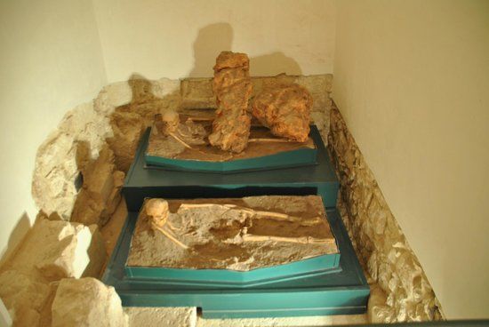 Museo di civiltà preclassiche della Murgia Meridionale